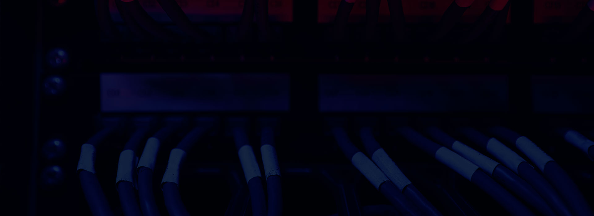 Detalle de infraestructura tecnológica